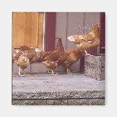 Rhode Island Magnet (Voorkant)