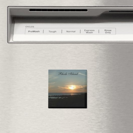 Rhode Island Magnet (Insitu (Vaatwasser))