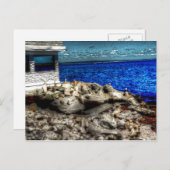 Rhode Island, Narragansett Afbeelding Briefkaart (Voorkant / Achterkant)