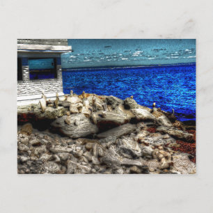 Rhode Island, Narragansett Afbeelding Briefkaart