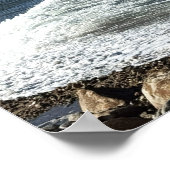Rhode Island Oceaan Waterscape Poster (Hoek)