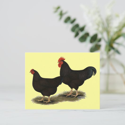 Rhode Island Red Bantams Briefkaart (Staand voorkant)