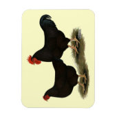 Rhode Island Red Bantams Magneet (Verticaal)