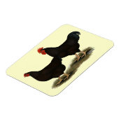 Rhode Island Red Bantams Magneet (Linkerzijde)