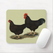 Rhode Island Red Bantams Muismat (Met muis)