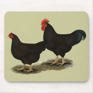 Rhode Island Red Bantams Muismat