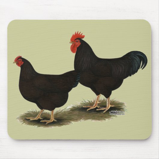 Rhode Island Red Bantams Muismat (Voorkant)