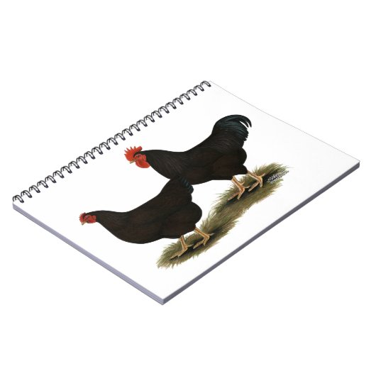 Rhode Island Red Bantams Notitieboek (Linkerzijde)