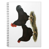 Rhode Island Red Bantams Notitieboek (Voorkant)