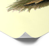 Rhode Island Red Bantams Poster (Hoek)