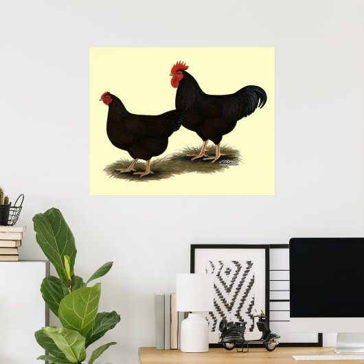 Rhode Island Red Bantams Poster (Thuiskantoor)