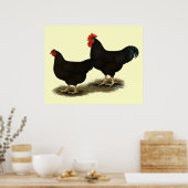 Rhode Island Red Bantams Poster (Keuken)