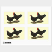 Rhode Island Red Bantams Rechthoekige Sticker (Vel)