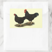 Rhode Island Red Bantams Rechthoekige Sticker (Tas)