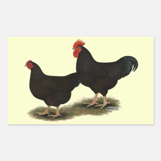 Rhode Island Red Bantams Rechthoekige Sticker (Voorkant)