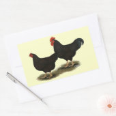 Rhode Island Red Bantams Rechthoekige Sticker (Envelop)