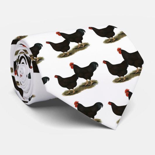 Rhode Island Red Bantams Stropdas (Opgerold)