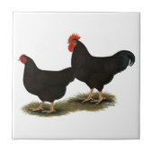 Rhode Island Red Bantams Tegeltje (Voorkant)