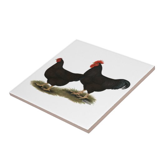 Rhode Island Red Bantams Tegeltje (Zijkant)