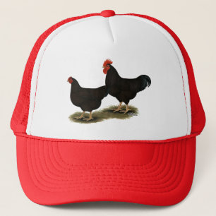 Rhode Island Red Bantams Trucker Pet