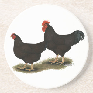 Rhode Island Red Bantams Zandsteen Onderzetter
