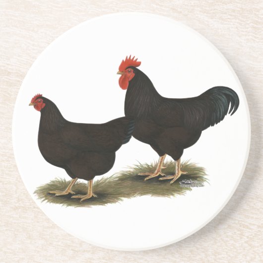 Rhode Island Red Bantams Zandsteen Onderzetter (Voorkant)