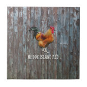 Rhode Island Red Chicken Tegeltje (Voorkant)
