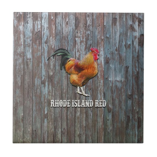 Rhode Island Red Chicken Tegeltje (Voorkant)