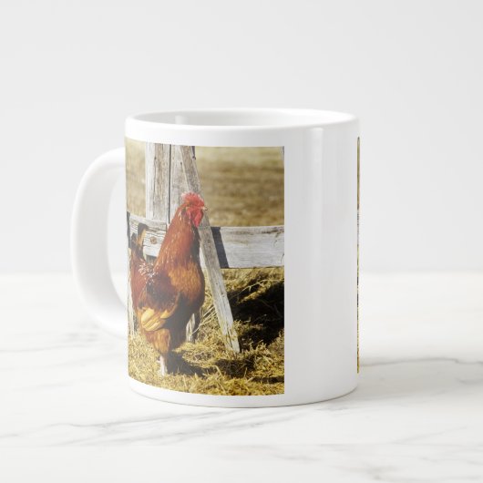 Rhode Island Red haan Grote Koffiekop (Links)