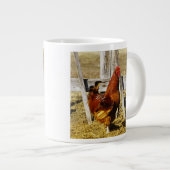 Rhode Island Red haan Grote Koffiekop (Voorkant rechts)