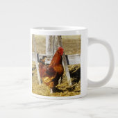 Rhode Island Red haan Grote Koffiekop (Rechts)
