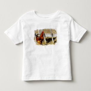 Rhode Island Red haan Kinder Shirts