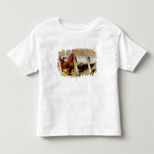 Rhode Island Red haan Kinder Shirts (Voorkant)