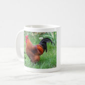 Rhode Island Red haan  Koffiemok (Voorkant links)