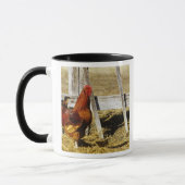 Rhode Island Red haan Mok (Links)