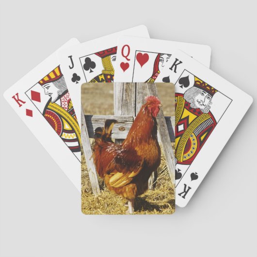 Rhode Island Red haan Pokerkaarten (Achterkant)