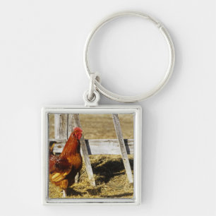 Rhode Island Red haan Sleutelhanger