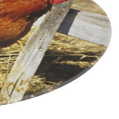 Rhode Island Red haan Snijplank (Hoek)