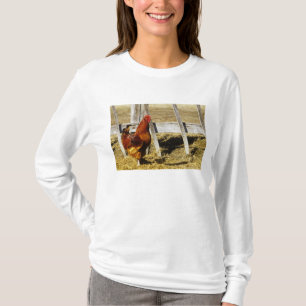 Rhode Island Red haan T-shirt