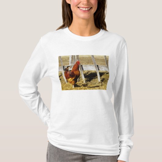 Rhode Island Red haan T-shirt (Voorkant)