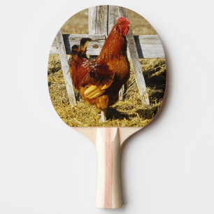 Rhode Island Red haan Tafeltennisbatje