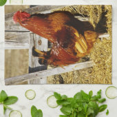 Rhode Island Red Haan Theedoek (Gevouwen)