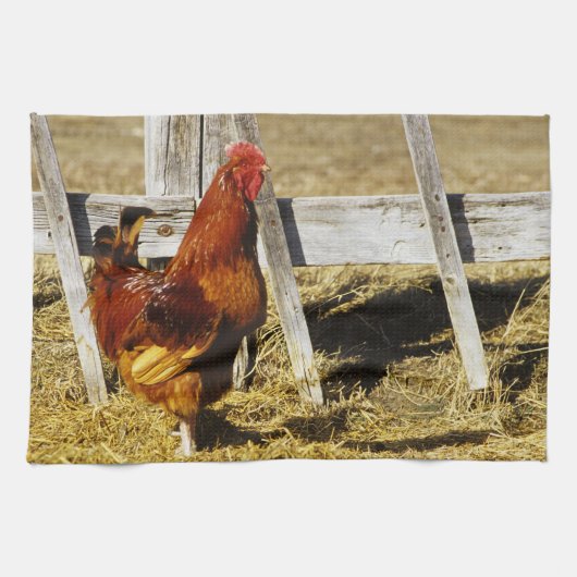 Rhode Island Red Haan Theedoek (Horizontaal)