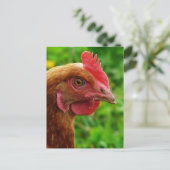 Rhode Island Red Hen Briefkaart (Staand voorkant)