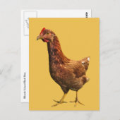 Rhode Island Red Hen Chicken Briefkaart (Voorkant / Achterkant)