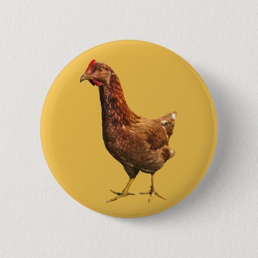 Rhode Island Red Hen Chicken Button (Voorkant)