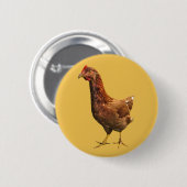 Rhode Island Red Hen Chicken Button (Voorkant /achterkant)