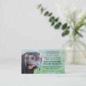 Rhode Island Red Hen Chicken Egg Farmer Visitekaartje (Staand voorkant)