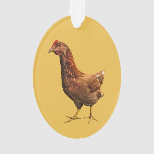 Rhode Island Red Hen Chicken Ornament (achterkant)