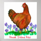 Rhode Island Red Hen Chicken Violets Poster (Voorkant)